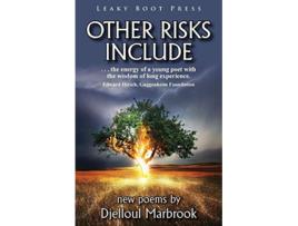 Livro Other Risks Include de Djelloul Marbrook (Inglês)
