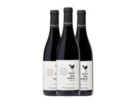 Vinho PARAJES DE LOS VIDRIOS Pico del Mirlo Grenache Vinos de Madrid (0.75 L - 3 Unidades)