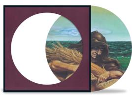 The Grateful Dead Wake Of The Flood Vinil Picture Disc Edição Limitada