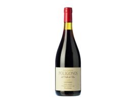 Vinho ZUCCARDI Polígonos San Pablo Malbec Mendoza (0.75 L - 1 Unidade)