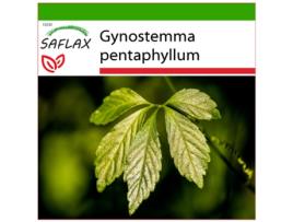 SAFLAX Planta Da Imortalidade Gynostemma Pentaphyllum 30 Sementes com Substrato de Cultivo Livre de Germes