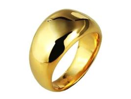 JUST Anel Lepa Dourado em Aço Inoxidável 50