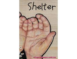 Livro Shelter Notes from a Detained Migrant Childrens Facility de Arturo HernandezSametier (Inglês)