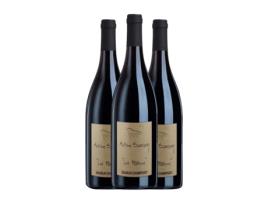 Vinho ANTOINE SANZAY La Paterne Cabernet Franc Saumur-Champigny (0.75 L - 3 Unidades)