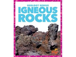 Livro Igneous Rocks de Rebecca Pettiford (Inglês - Capa Dura)