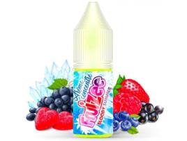 Icee Mint Aroma 10Ml FRUIZEE (produto sem nicotina)