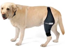 Protetor de Joelho para Cão ORTOCANIS Lado Direito