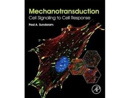 Livro Mechanotransduction de Paul A Sundaram (Inglês)