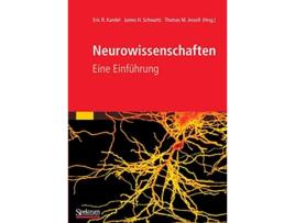 Livro Neurowissenschaften Eine Einführung German Edition de Eric Kandel, James Schwartz et al. (Alemão)