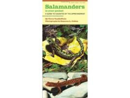 Livro Salamanders in Your Pocket de Terry Vandewalle (Inglês)