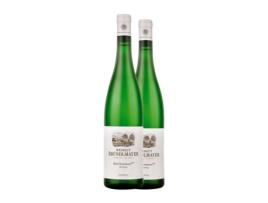 Vinho branco BRÜNDLMAYER Langloiser Steinmassl Riesling (0.75 L - 2 Unidades)