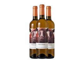 Vinho rosé FONTANA Oveja Naranja sobre Pieles (0.75 L - 3 Unidades)