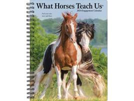 Livro What Horses Teach Us 2024 6.5 X 8.5 Engagement Calendar de Willow Creek Press (Inglês)