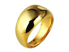 JUST Anel Lepa Dourado em Aço Inoxidável 54