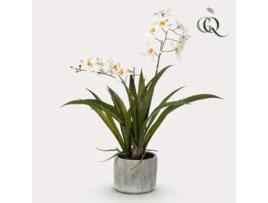 Planta Artificial Orquídea Branca 45Cm VERDE BOUTIQ