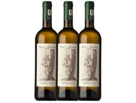 Pojer e Sandri Sauvignon Vigneti delle Dolomiti 75 cl (Caixa de 3 unidades)