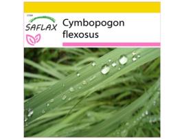 SAFLAX Conjunto de Cultivo Capim-Limão Cymbopogon Flexosus 50 Sementes com Mini Estufa Substrato de Cultivo e 2 Vasos