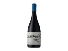 Vinho VIÑA VENTISQUERO Tara Pinot Preto (0.75 L - 1 Unidade)
