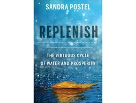Livro Replenish de Sandra Postel (Inglês)