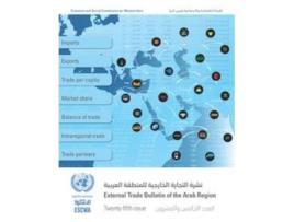 Livro External Trade Bulletin of the Arab Region Twentyfifth Issue de United Nations Economic and Social Commission for Western Asia (Inglês)
