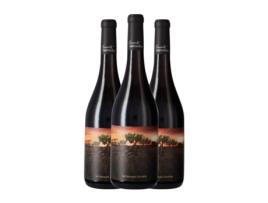Vinho VINTAE Olvidada de Aragón Grenache Calatayud (0.75 L - 3 Unidades)