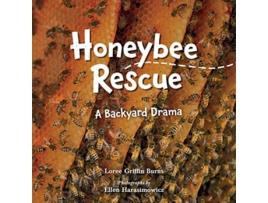 Livro Honeybee Rescue de Loree Burns (Inglês - Capa Dura)