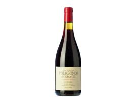 Vinho ZUCCARDI Polígonos San Pablo Cabernet Franc Mendoza (0.75 L - 1 Unidade)