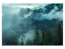 Papel de Parede WALLARENA Floresta Neblina Fotomural (416x254 cm)