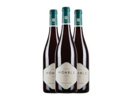 Vinho WÖHRLE Blauer Pinot Preto Seco Baden (0.75 L - 3 Unidades)