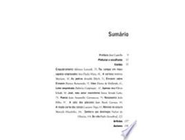 Livro Contos Sobre Tela de Adriana Lunardi (Português do Brasil)
