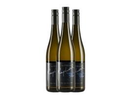 Vinho branco HAROLD FALTERMEYER Raphael Silver Sauvignon Branca Nahe (0.75 L - 3 Unidades)