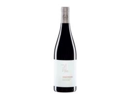 Vinho PAUL ACHS Ungerberg Blaufränkisch Burgenland (0.75 L - 1 Unidade)