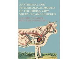Livro Anatomical and Physiological Models of the Horse Cow Sheep Pig and Chicken Colored to Nature With Explanatory Key de Anon (Inglês)