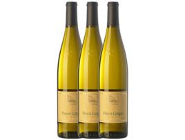 Terlano Pinot Grigio Pinot Cinza Alto Adige 75 cl (Caixa de 3 unidades)