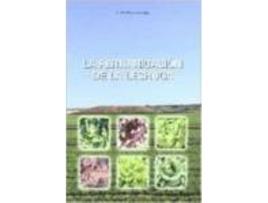 Livro Fertirrigacion De La Lechuga, La de Rincon Sanchez (Espanhol)