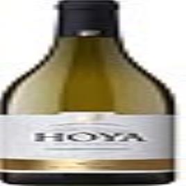 Vinho branco Hoya de Cadenas (75 cl)