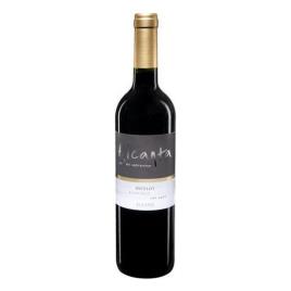 Vinho tinto  Merlot (75 cl)