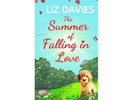 Livro The Summer of Falling in Love de Liz Davies (Inglês)