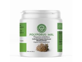 Mycology Research (MRL) Polyporus-MRL 250g (Currently Unavailable)