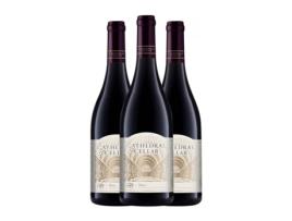 Vinho KWV Cathedral Shiraz Syrah Western Cape (0.75 L - 3 Unidades)
