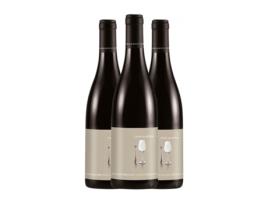 Vinho MICHEL CHAPOUTIER Anne Sophie Pic Côtes du Rhône (0.75 L - 3 Unidades)