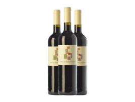 Vinho AZUL Y GARANZA Seis Navarra Crianza (0.75 L - 3 Unidades)