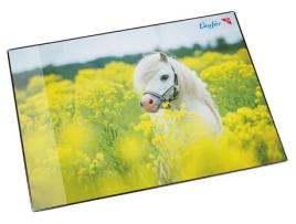 Bloco de Notas Corredor Cavalo no Campo de Colza 400 X 530 Mm LÄUFER