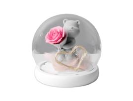 Presente Do Dia dos Namorados Flor Eterna Urso de Pelúcia Presente Criativo MEOIRUERY