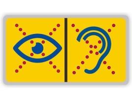 Audiência Limitada Visão Limitada Pin Baixa Visão e Deficientes Visuais Reconhecimento Surdo Cego LIMITED HEARING