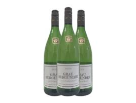 Vinho branco KIECHLINSBERGEN Vulkanfelsen Pinot Cinza (1 L - 3 Unidades)