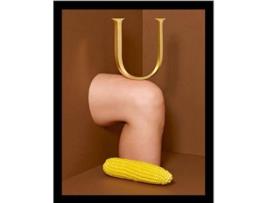 Livro Unicorn de Borsodi Bela (Inglês - Capa Dura)