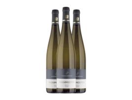 Vinho branco SCHAFER-FROHLICH Vulkangestein Riesling Nahe (0.75 L - 3 Unidades)
