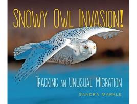 Livro Snowy Owl Invasion! de Sandra Markle (Inglês)