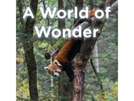 Livro A World of Wonder de Brent A Ford Lucy McCullough Hazlehurst (Inglês)